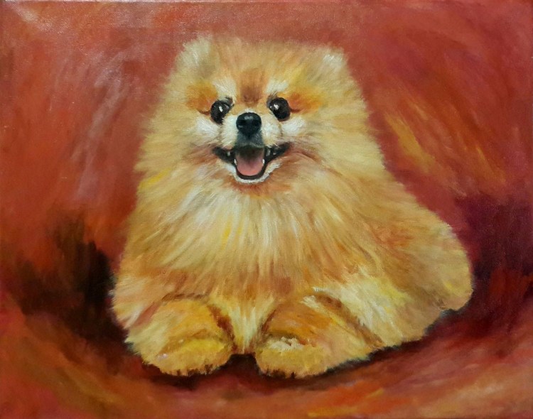 Шпиц в стиралке