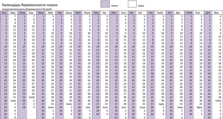 Родовспоможение у собак