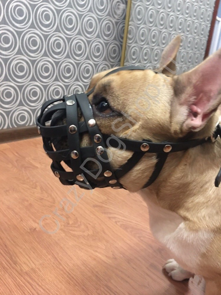 Намордник BRONZEDOG водоотталкивающий биотановый французский бульдог