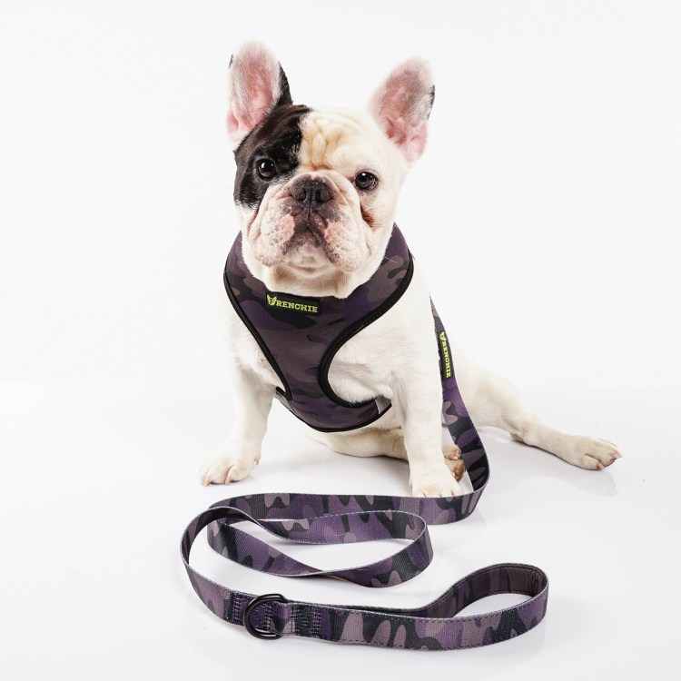 Намордник Баскервиль