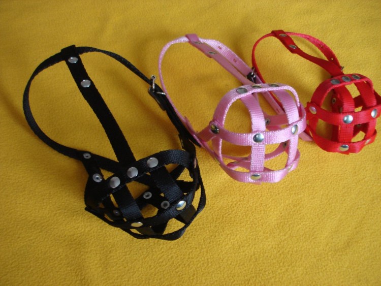 Французский бульдог бойцовская собака