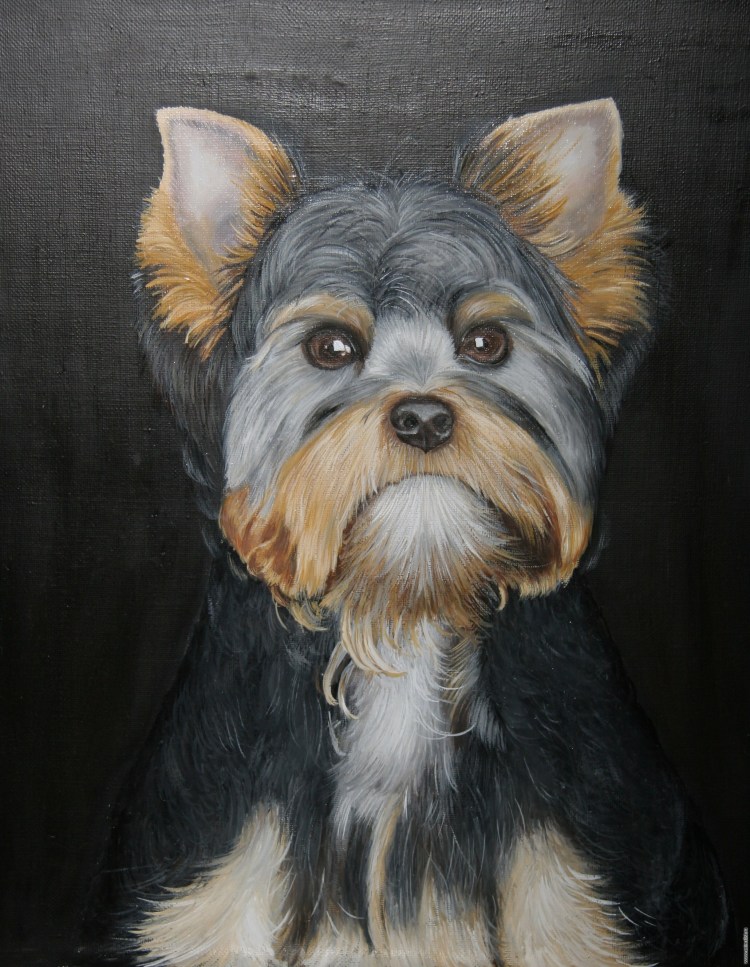 Микро Йоркширский терьер