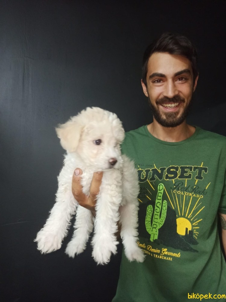 Мальтипу Папунаишвили