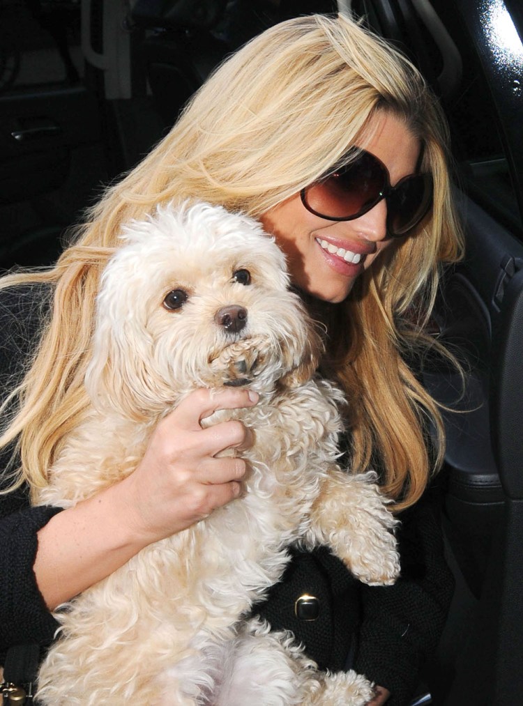 Джессика симпсон мальтипу