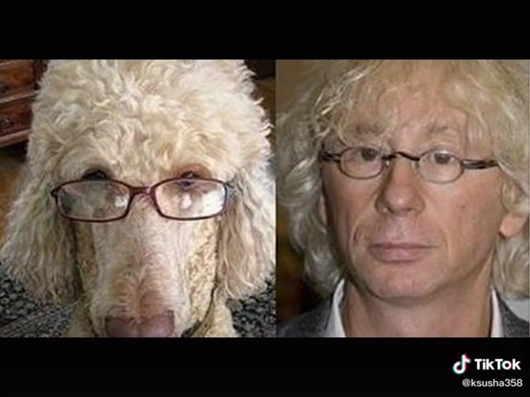 Аркадий Укупник собака