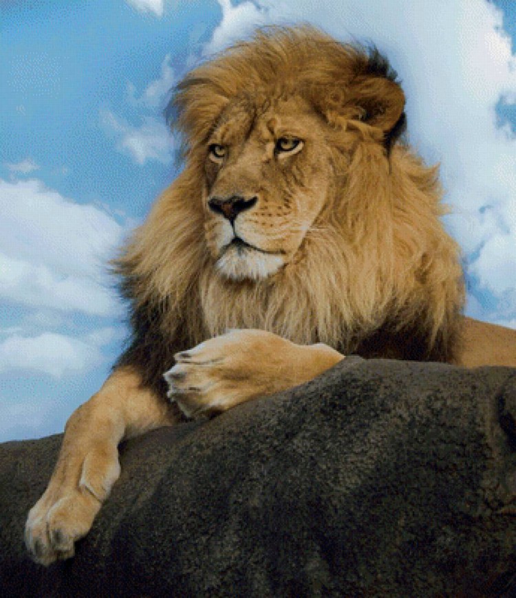 Лев и Львенок