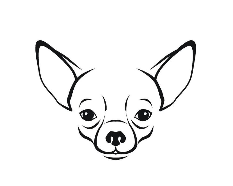 Той терьер черный