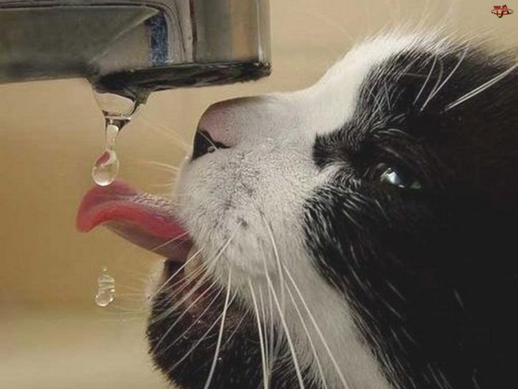 Сушняк после вчерашнего