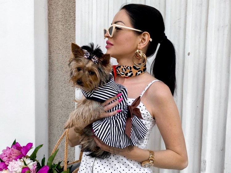 Терьер Йоркширский стриженный