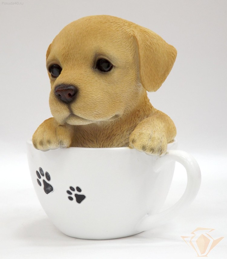 Мимимишные собачки