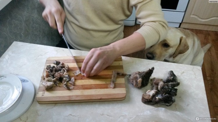 Рубец говяжий для собак сырой