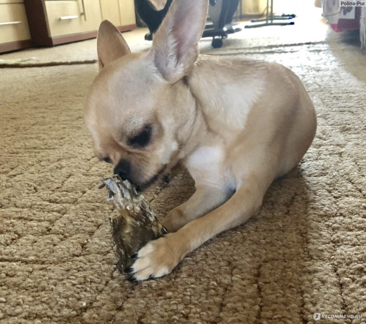 Рубец рубленый говяжий