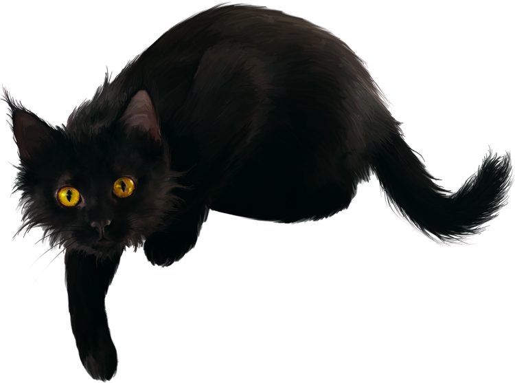 Кошка на прозрачном фоне