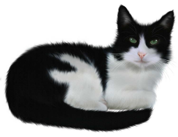 Мультяшный кот