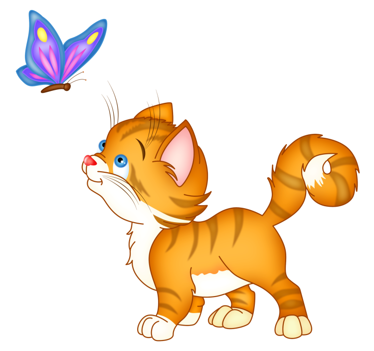 Рыжий кот на прозрачном фоне