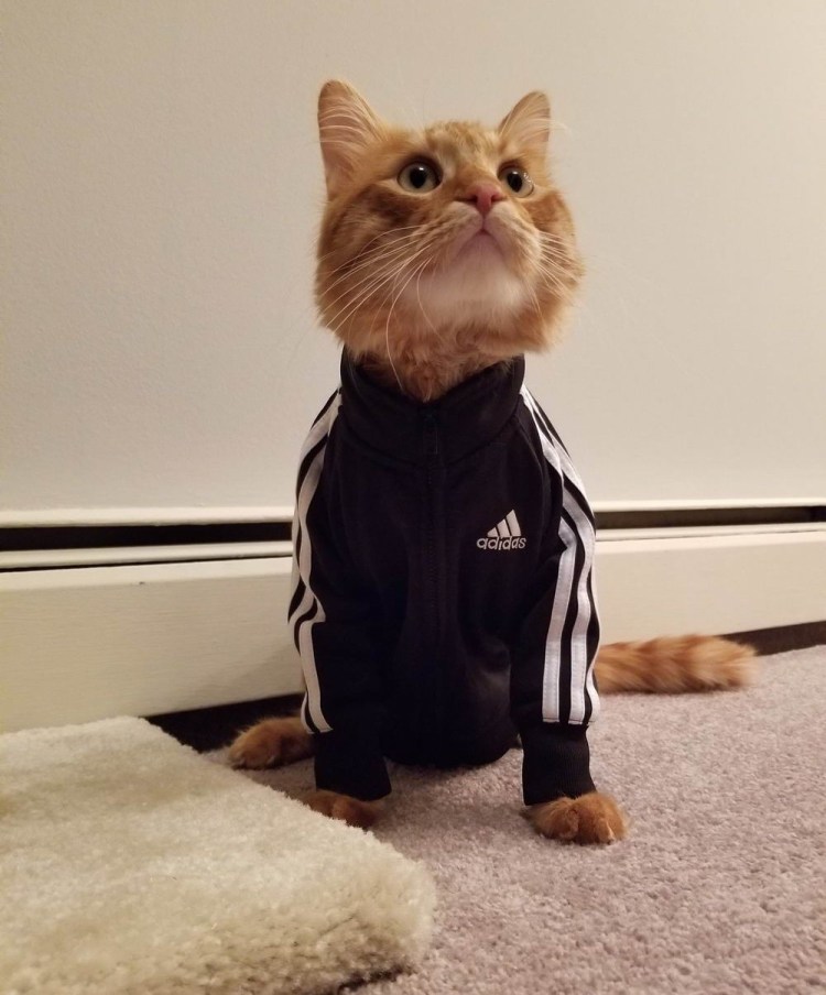 Сабрина маленькая ведьма Салем человек