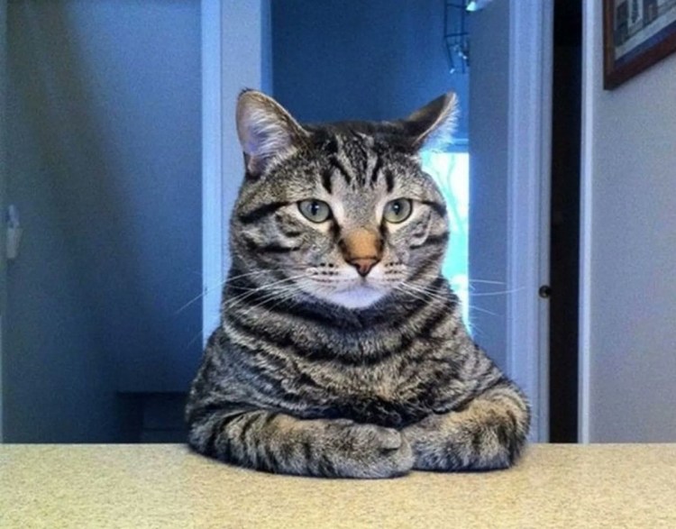 Гопники приколы