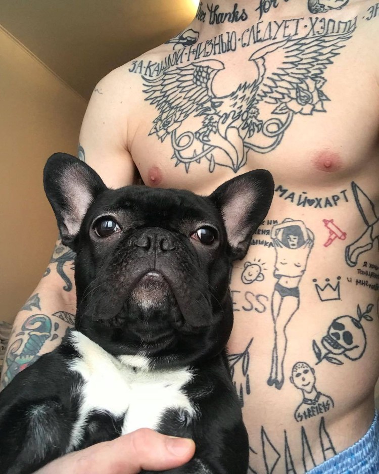 Мопс дядя пес тату