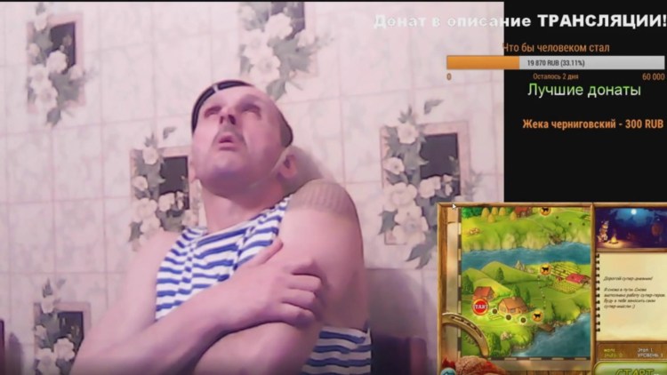 Мопс и той терьер