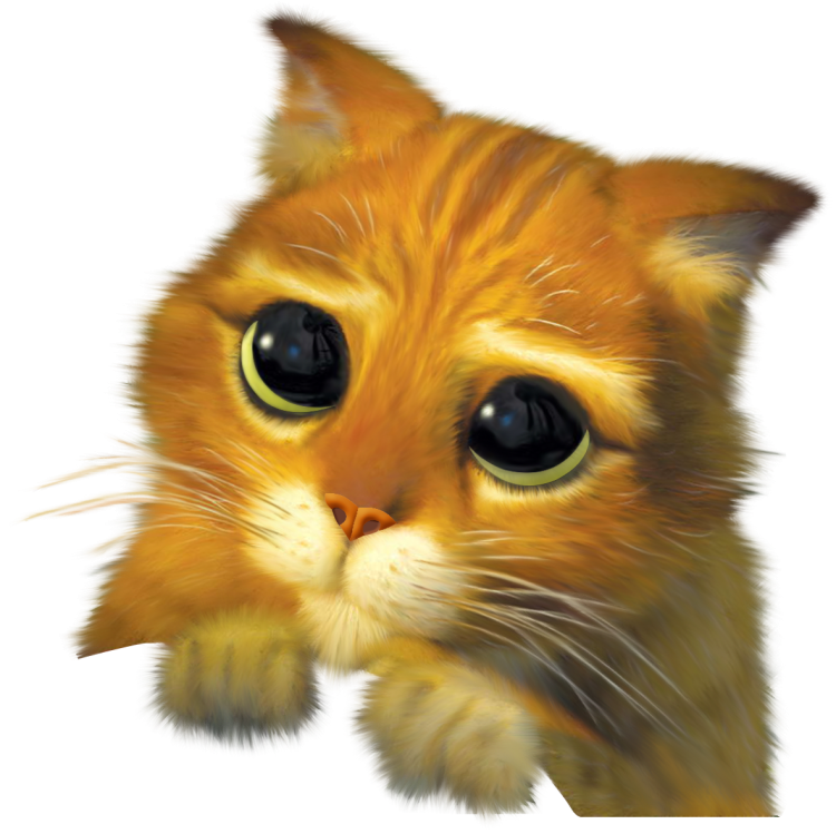 Просящий котик