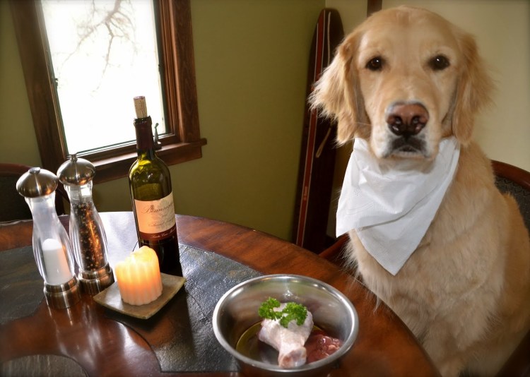 Вкусная собака