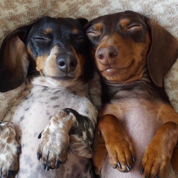 Good morning картинки