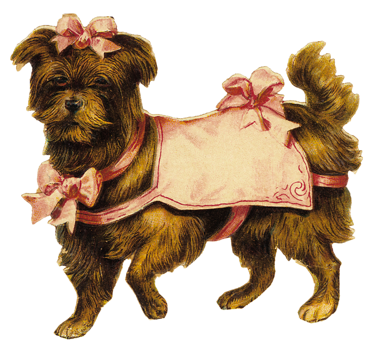 Пиво для собак