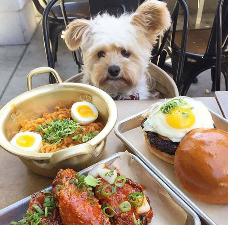 Такса 1920x1080