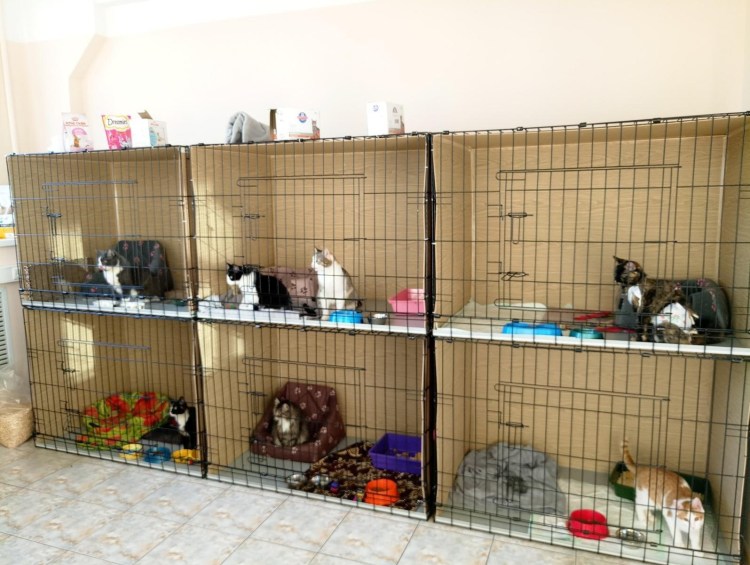 Ганхор зоогостиница