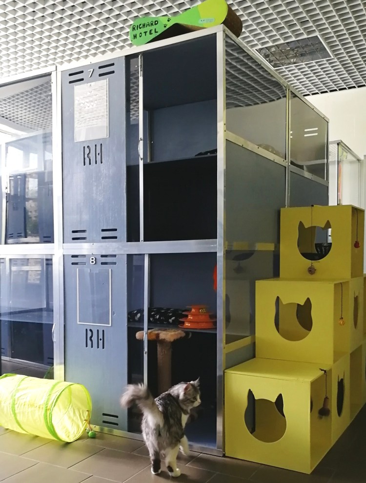 Зоогостиницы для животных