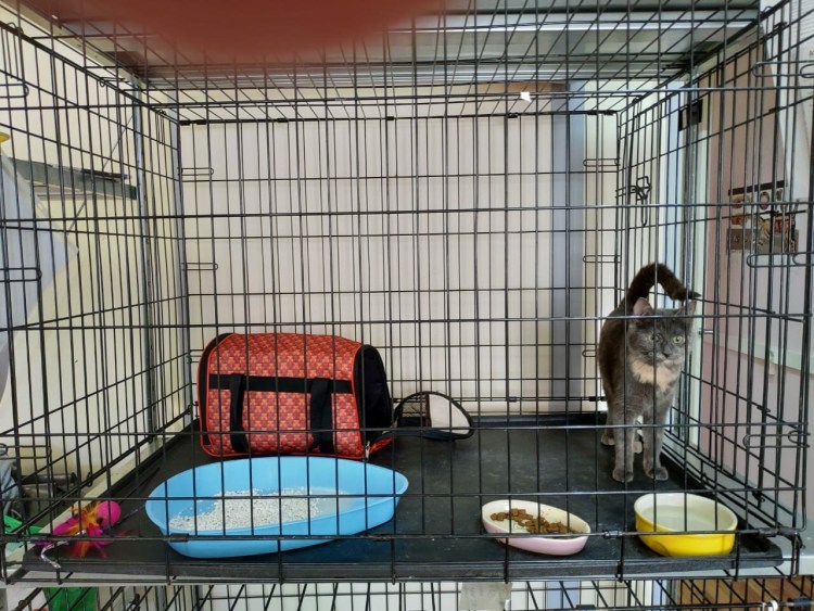 Клетка для кошек