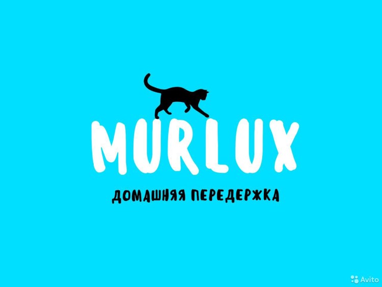 Клетки для гостиницы для животных