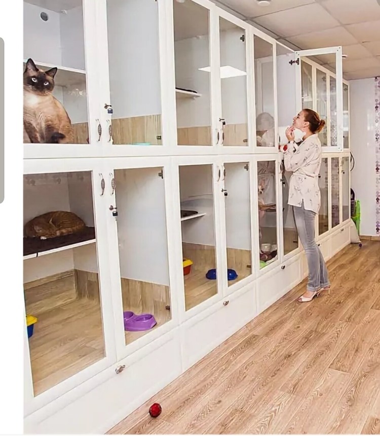 Гостиница для передержки животных