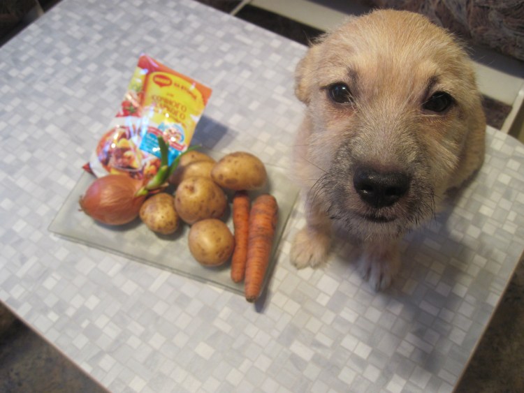 Нуреонги корейская съедобная собака