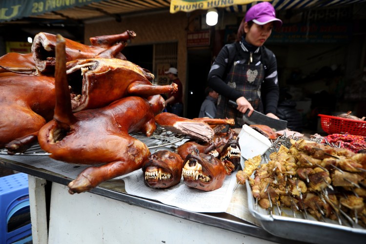 Порода собак нуреонги в Корее
