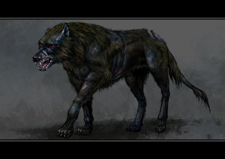 Ярчук собака