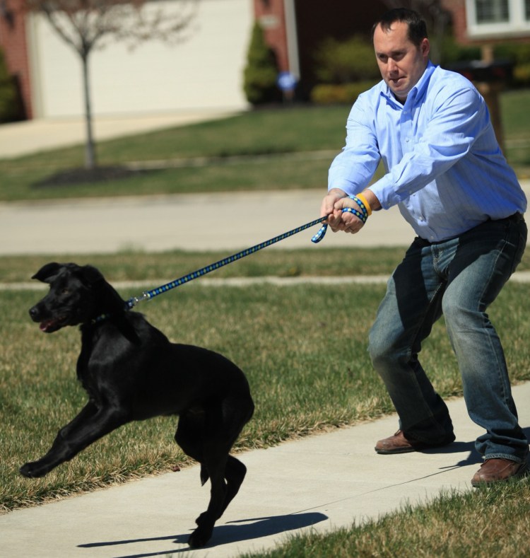 Дог-пуллинг (Dog-pulling)