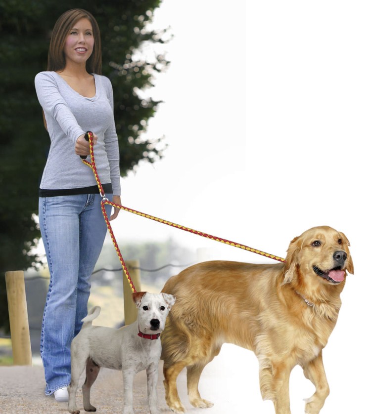 Поводок для лабрадора