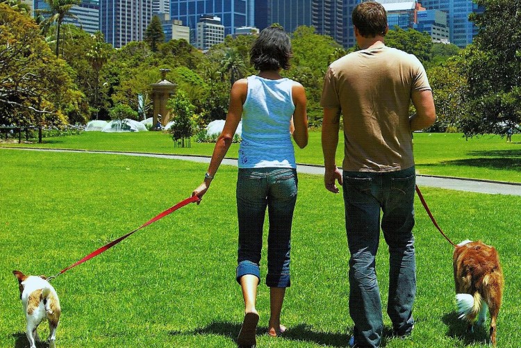 Человек с собакой на поводке