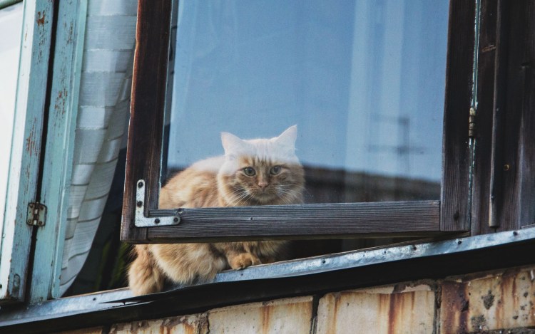 Необычные подоконники