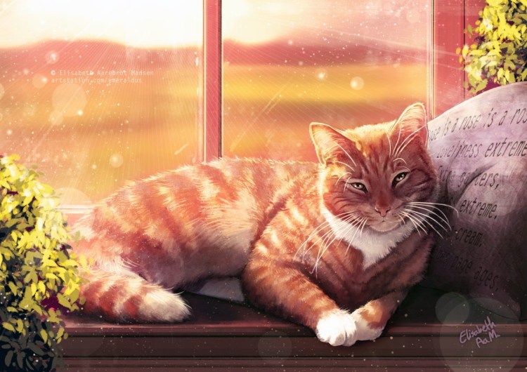 Рыжий кот на подоконнике