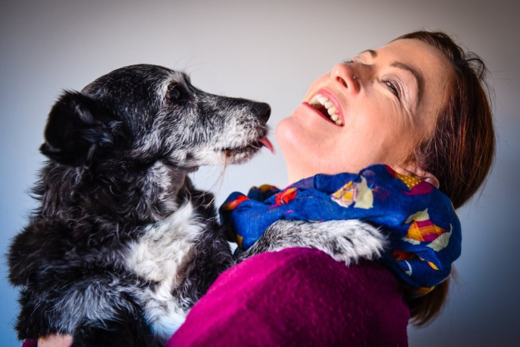 Собака лижет