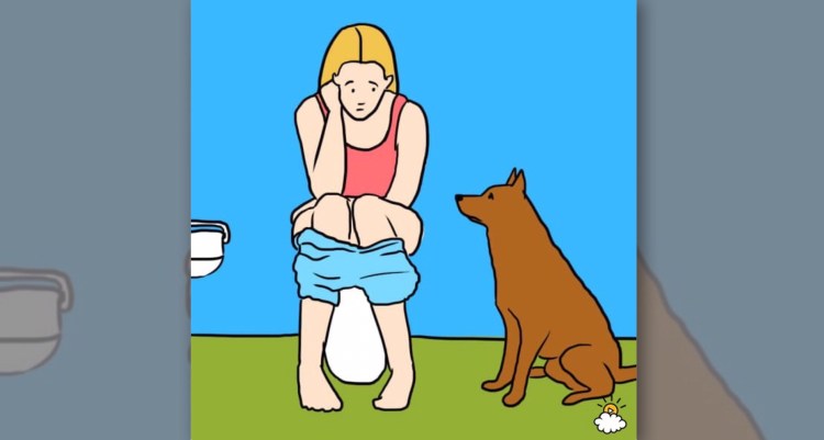 Собака облизывает предмет