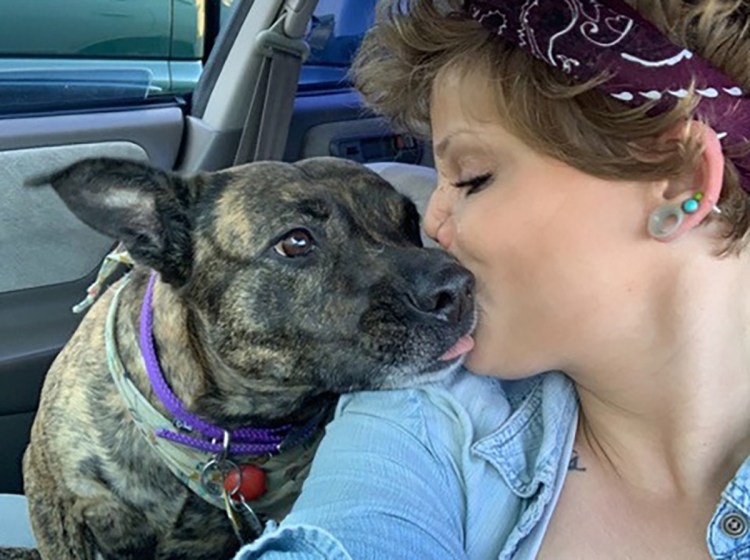 Щенок кусает