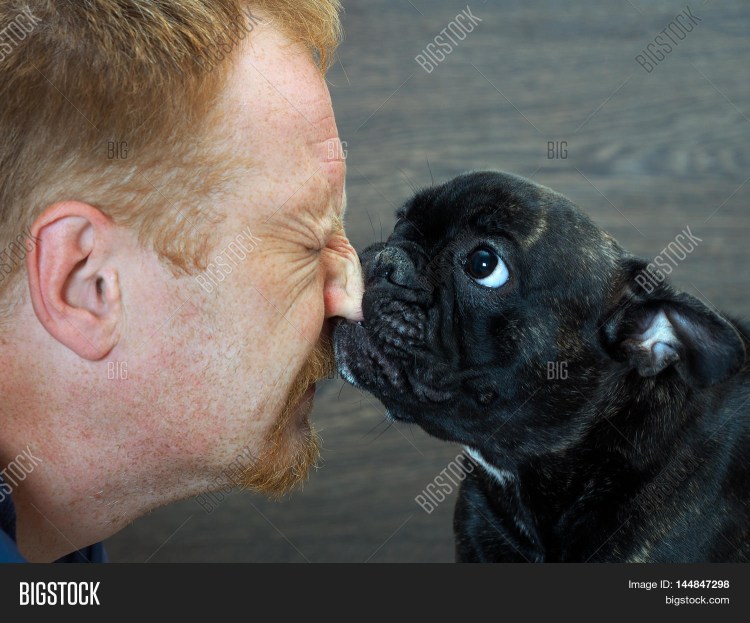 Вредный пес