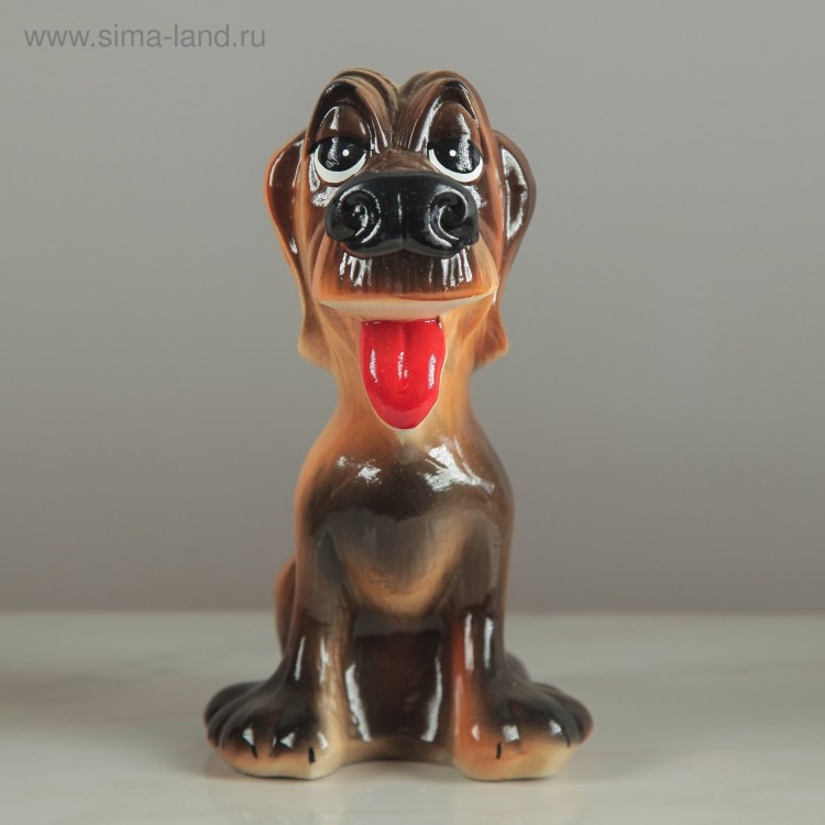 Бернская овчарка белая