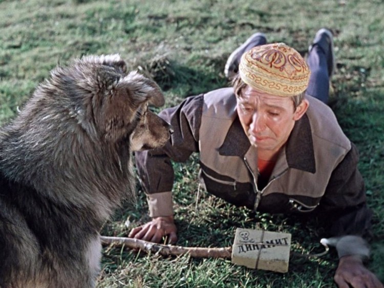 Бобик в гостях у Барбоса мультфильм 1977