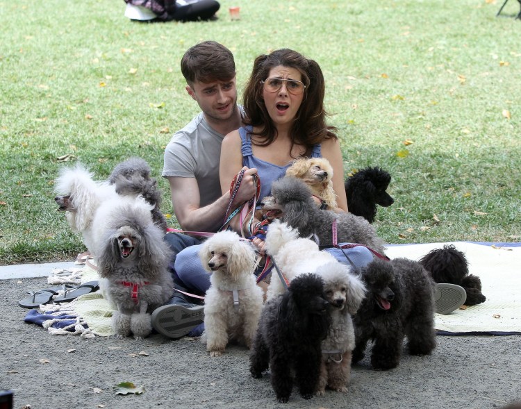 Костюм Цербера для собаки