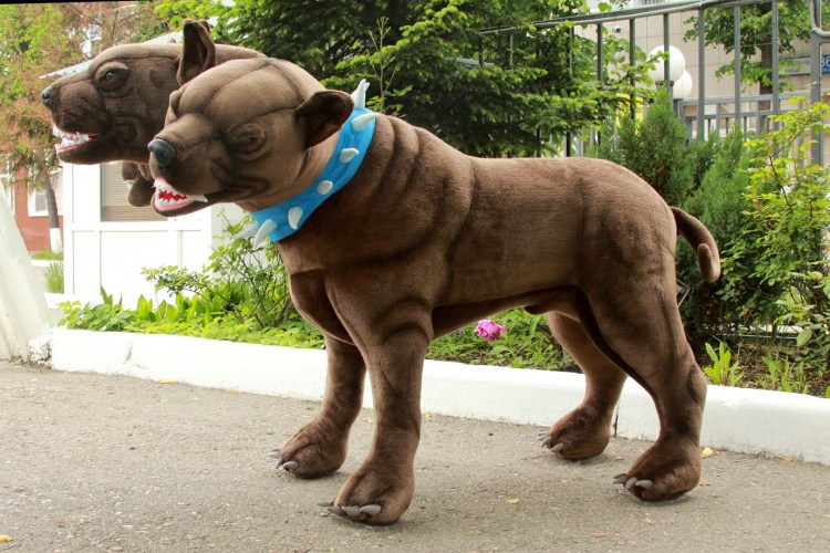 Пёс Хагрида из Гарри Поттера