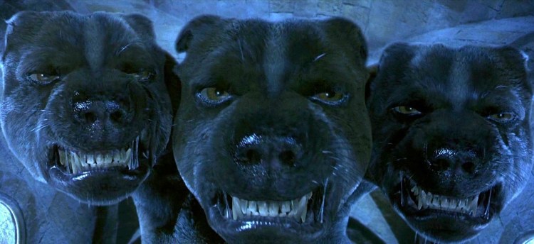 Цербер из Гарри Поттера